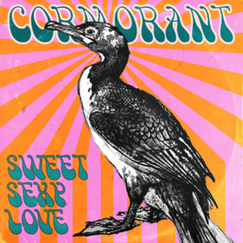 Cormorant