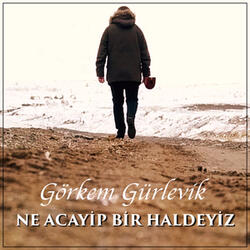 Ne Acayip Bir Haldeyiz