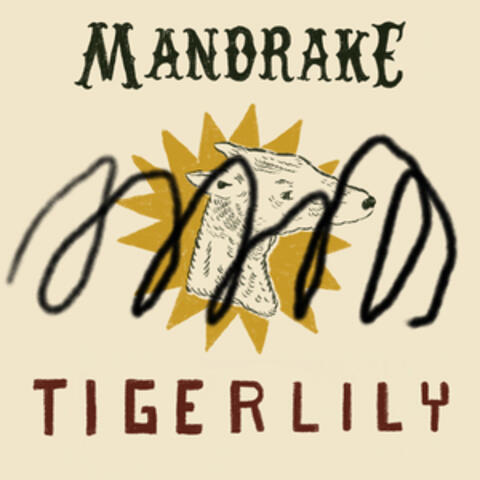 Tigerlily