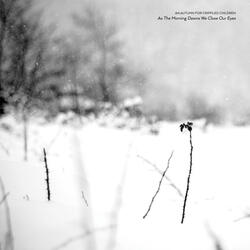 Splendour Unnoticed