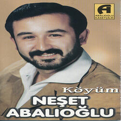Hastane Önünde İnci Ağacı