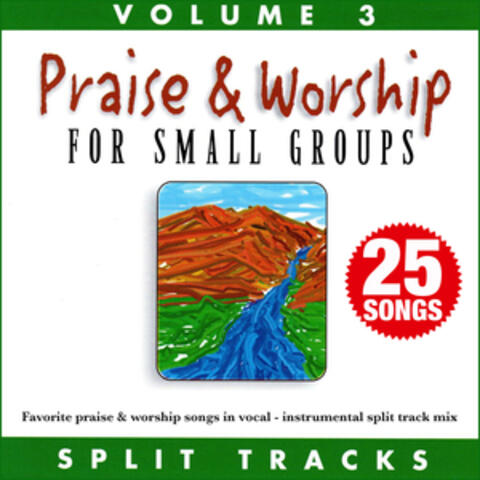 Praise & Worship for Small Groups (Whole Hearted Worship), Vol. 3