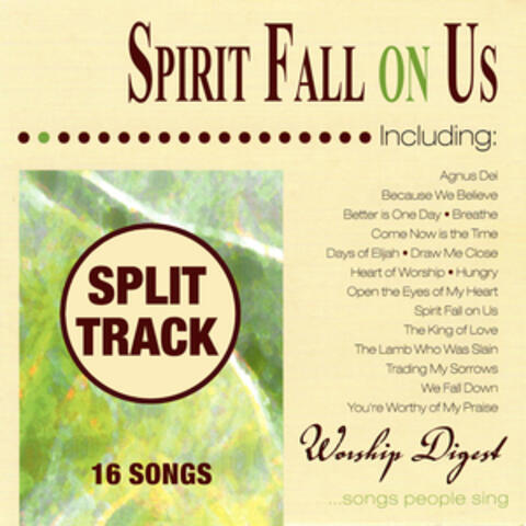 Spirit Fall on Us (Whole Hearted Worship)