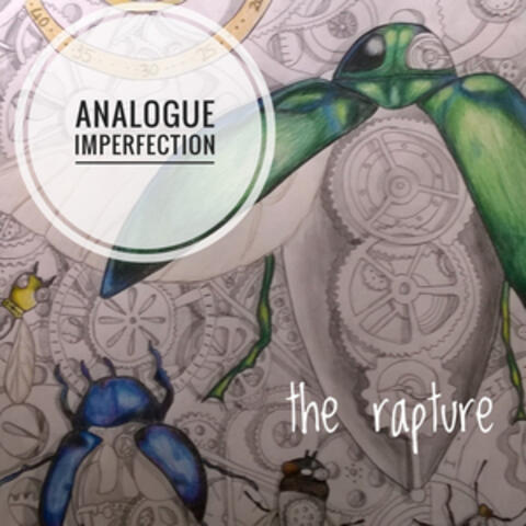 Analogue Imperfections