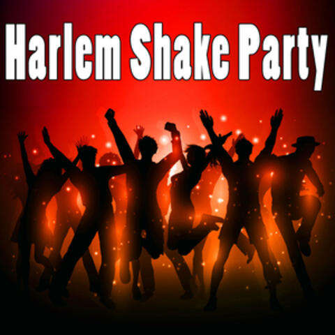 Harlem Shake Party