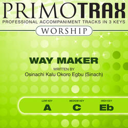 Way Maker (Medium Key - C - with Backing Vocals)