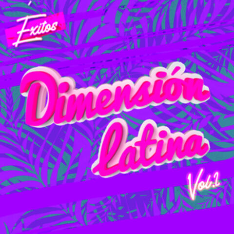 Éxitos Dimensión Latina, Vol. 2