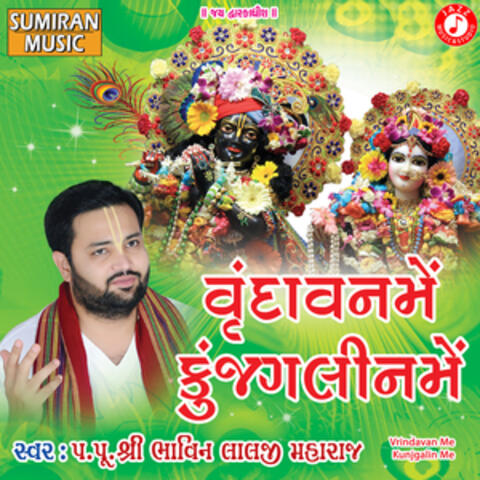 Vrindavan Me Kunjgalin Me - Single