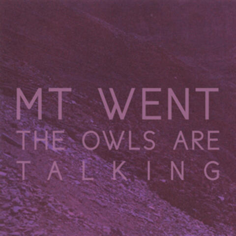 The Owls Are Talking