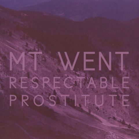 Respectable Prostitute