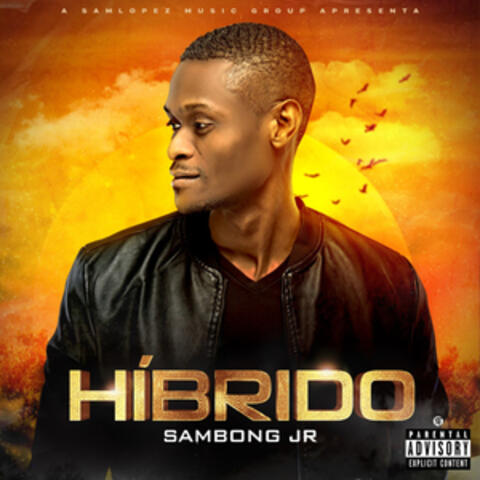 Híbrido