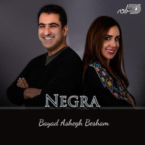 Bayad Ashegh Besham