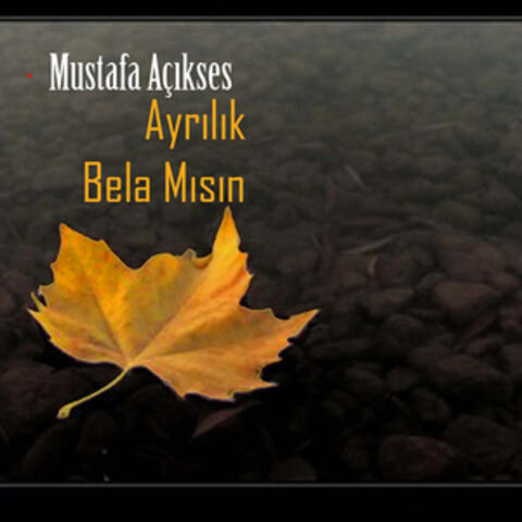 Ayrılık Bela Mısın