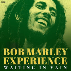 Waiting in Vain
