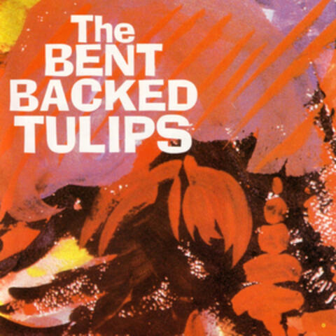 The Bent Backed Tulips