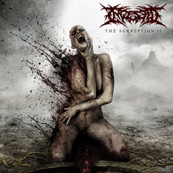Manifesting Obscenity