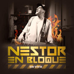 Te Fuiste Sin Pensar