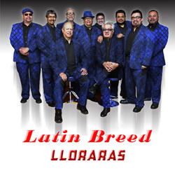 Lloraras