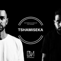 Tshamiseka