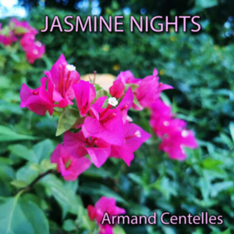 Jasmine Nights