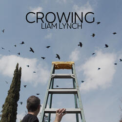 Crowing
