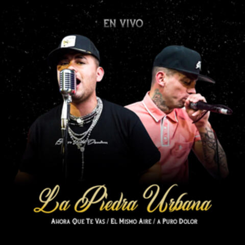 Ahora Que Te Vas / El Mismo Aire / a Puro Dolor