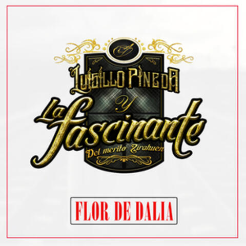 Flor de Dalia