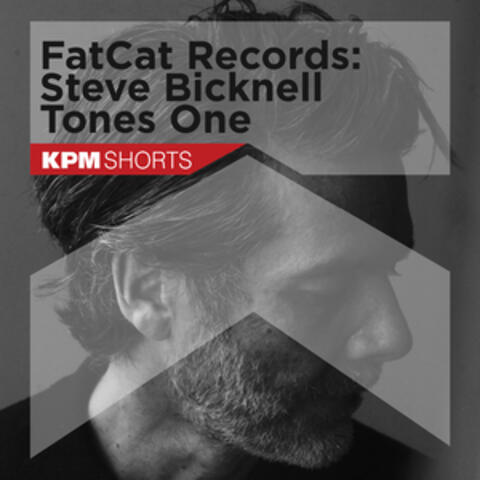 Fatcat Records: Steve Bicknell 'Tones One'
