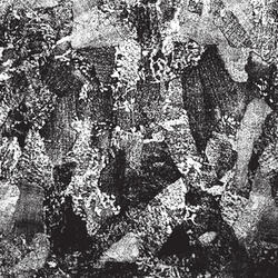 Ashen Mesh