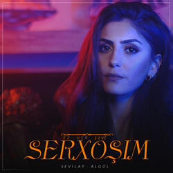Ez Her Şevê Serxoşim