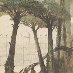 Tree Weeping (Lacrima)