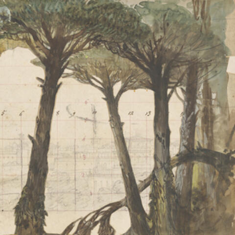 Tree Weeping (Lacrima)