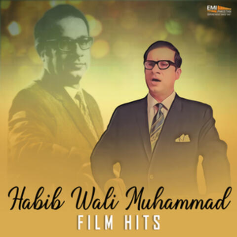 Habib Wali Muhammad Film Hits