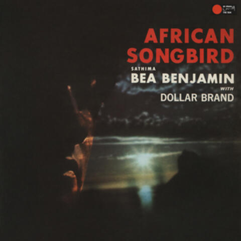 African Songbird