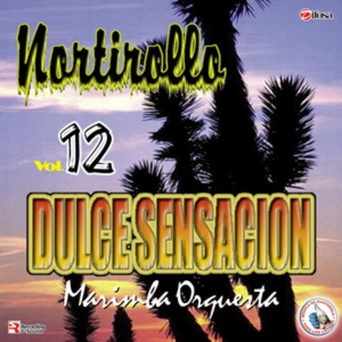 Nortirollo Vol. 12. Música de Guatemala para los Latinos