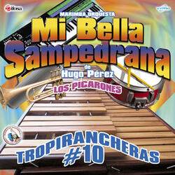 Tropirancheras 10: Que Bonita Pareja / Corazón Corazoncito / Señor Locutor / Lágrimas de Cristal