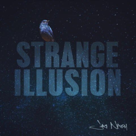 Strange Illusion