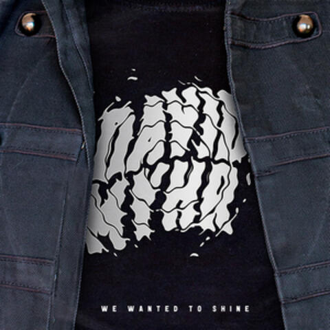 We Wanted to Shine