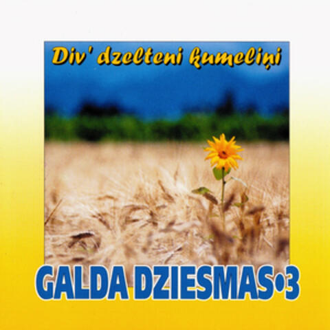 Div' dzelteni kumeliņi