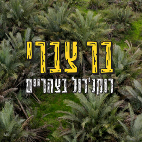 רוקנ'רול בצהריים