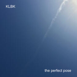 The Perfect Pose