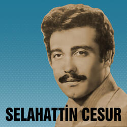 Aşk Çobanı