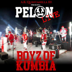 Pelón