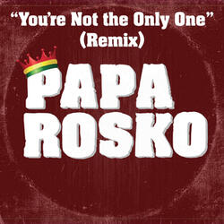 You're Not the Only One (feat. Aj Brown)