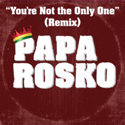 You're Not the Only One (feat. Aj Brown)