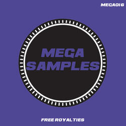Mega Samples 128