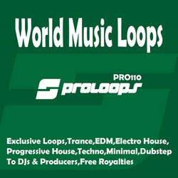 World Music Loops 128
