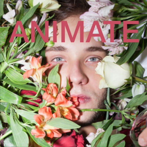 Animate