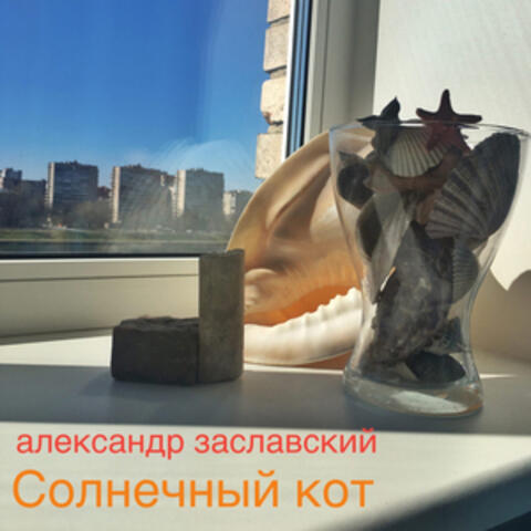 Солнечный кот