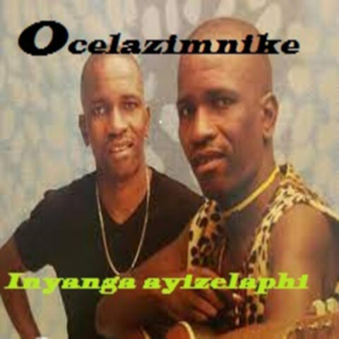 Iyanga ayizelaphi